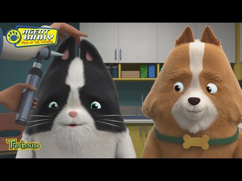 Agent Binky: Pets of the Universe Clip | Pets of the Universe | Treehouse