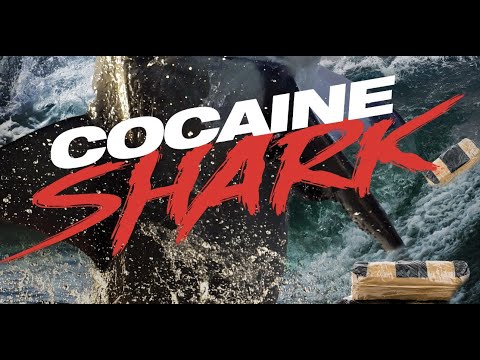 COCAINE SHARK  - Official Trailer