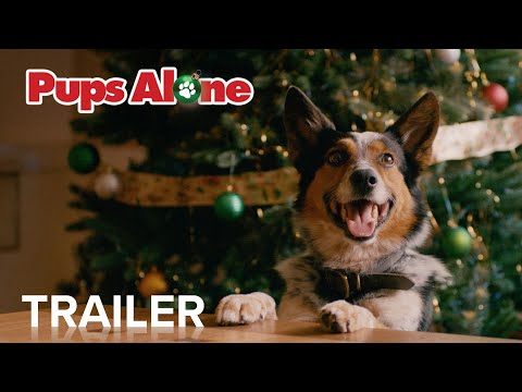 PUPS ALONE | Official Trailer | Paramount Movies