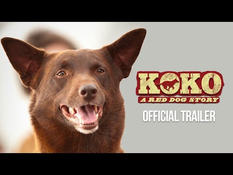 Koko: A Red Dog Story | Official Trailer HD