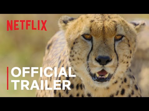 Animal | Official Trailer | Netflix