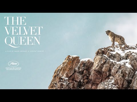 The Velvet Queen - Official U.S. Trailer - Oscilloscope Laboratories HD