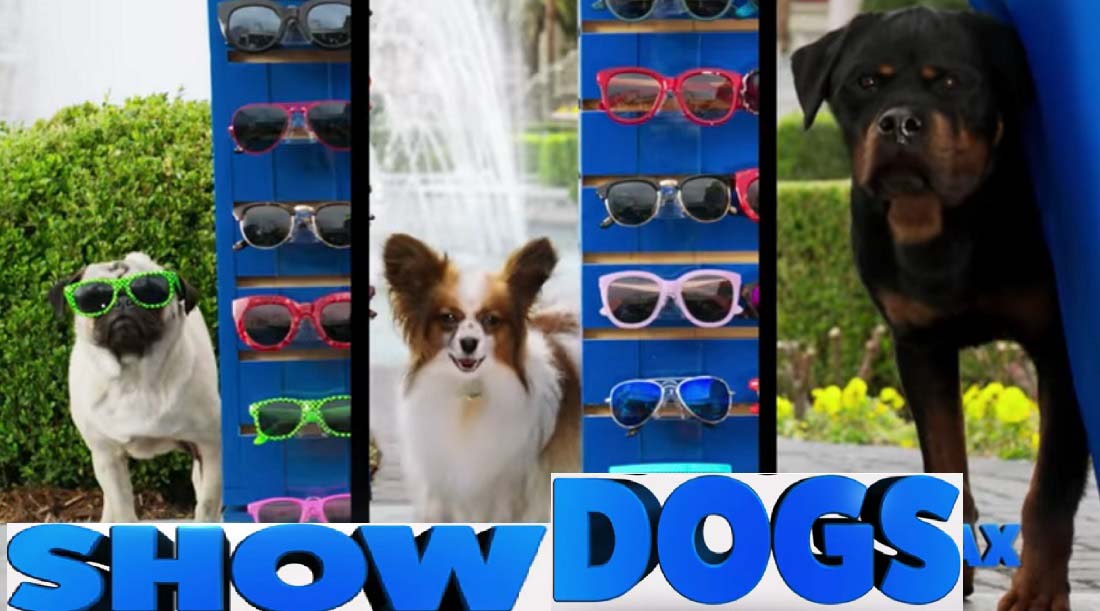 Show Dogs Age Rating - Show Dogs Movie 2018 Poster - Images wallpaper pictures