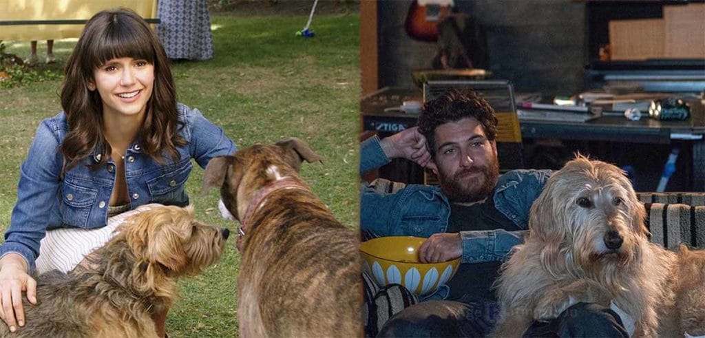Dog days 2018 - Movie Poster Images and Wallpapers Dog days 2018 - Movie Poster Images and Wallpapers