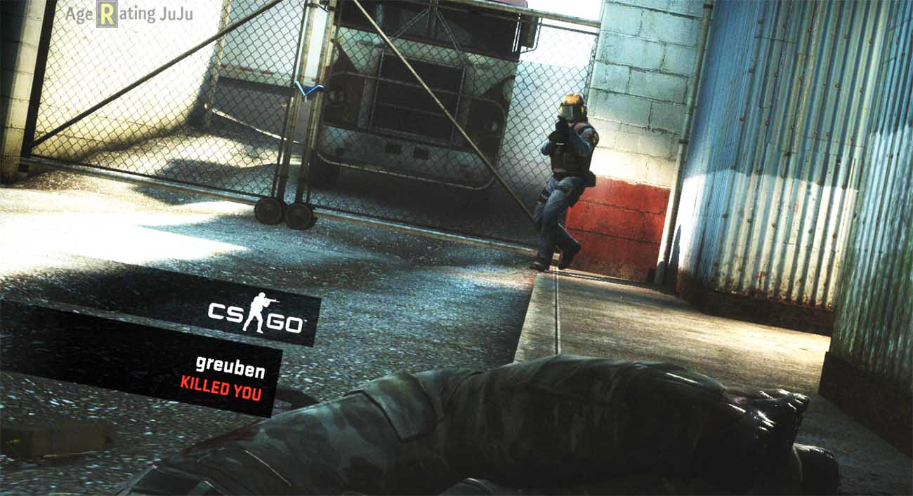 Counter-Strike: Global Offensive Age Rating