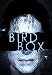 Bird Box (2018) 2 Bird Box Parents Guide 2018 Film