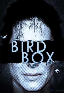 Bird Box Parents Guide 2018 Film