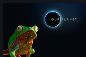 our planet Age Rating 2020 - TV Show Netflix Poster Images and Wallpapers
