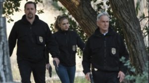 NCIS Age Rating 2020 - TV Show Netflix Poster Images and Wallpapers