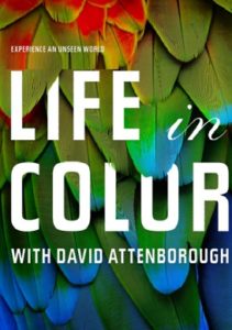 Life in Colour 1