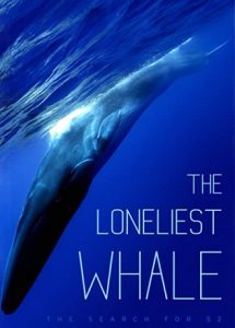 The Loneliest Whale The Search for 52 Parents Guide | Movie Age Rating 2021