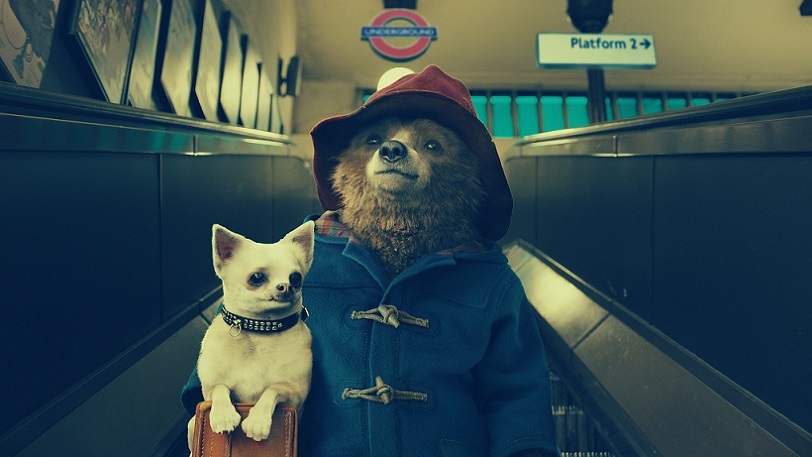 Paddington Movie Poster, Wallpaper, and Image