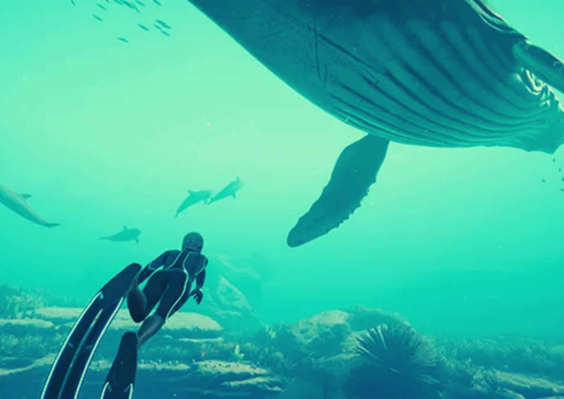 Blue Planet II Parents Guide | Blue Planet II Age Rating 2017 Blue Planet II Parents Guide | Blue Planet II Age Rating 2017
