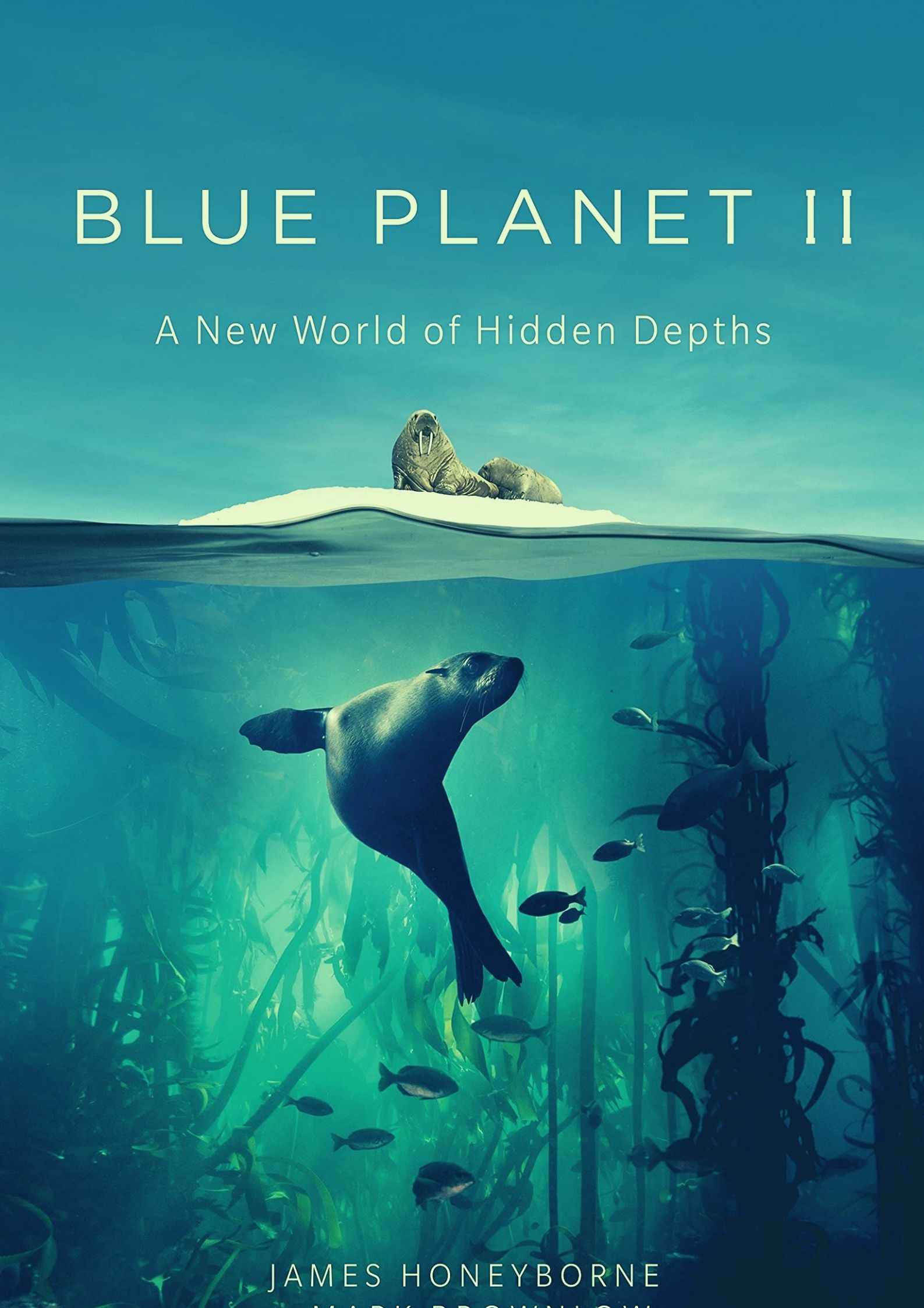 Blue Planet II Parents Guide | Blue Planet II Age Rating 2017