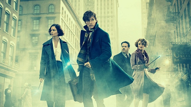 Fantastic Beasts and Where to Find Them Movie Poster, Wallpaper, and Image