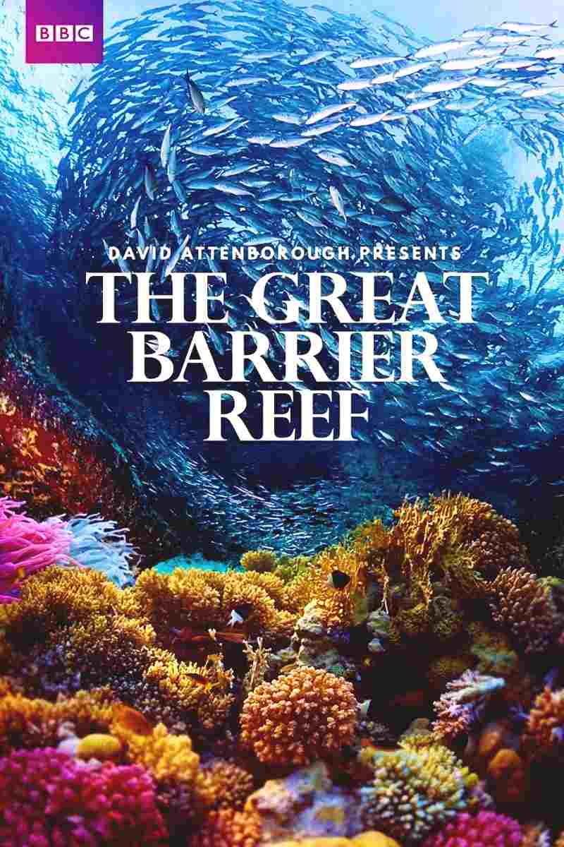 Great Barrier Reef Parents Guide | Great Barrier Reef Age Rating | 2018