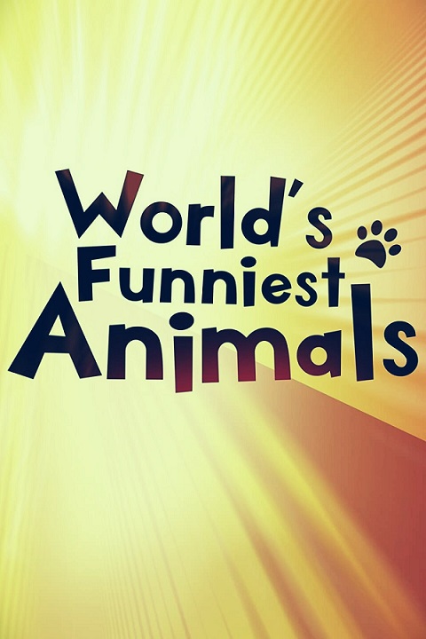 The Worlds Funniest Animals Parents Guide | 2021 Series Age Rating