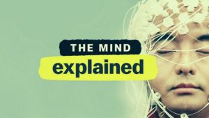 The Mind Explained Parents Guide | 2021 Series Age Rating