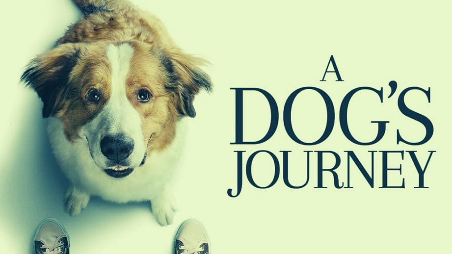A Dog's Journey Parents Guide | 2019 Film Age Rating