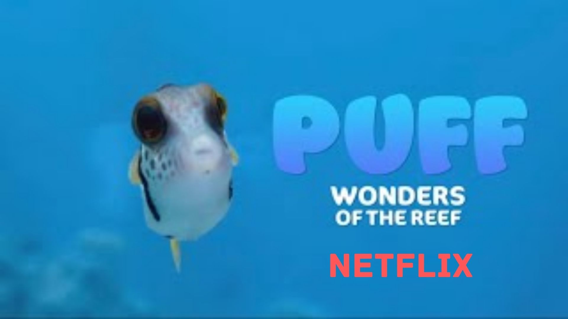 Puff: Wonders of the Reef Parents Guide and Age Rating | 2021