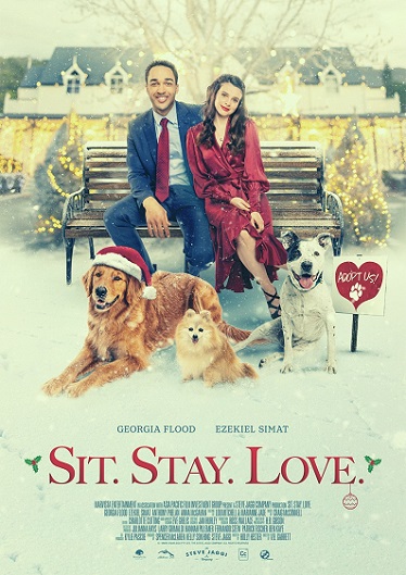 The Dog Days of Christmas Parents Guide | 2021 Film Age Rating