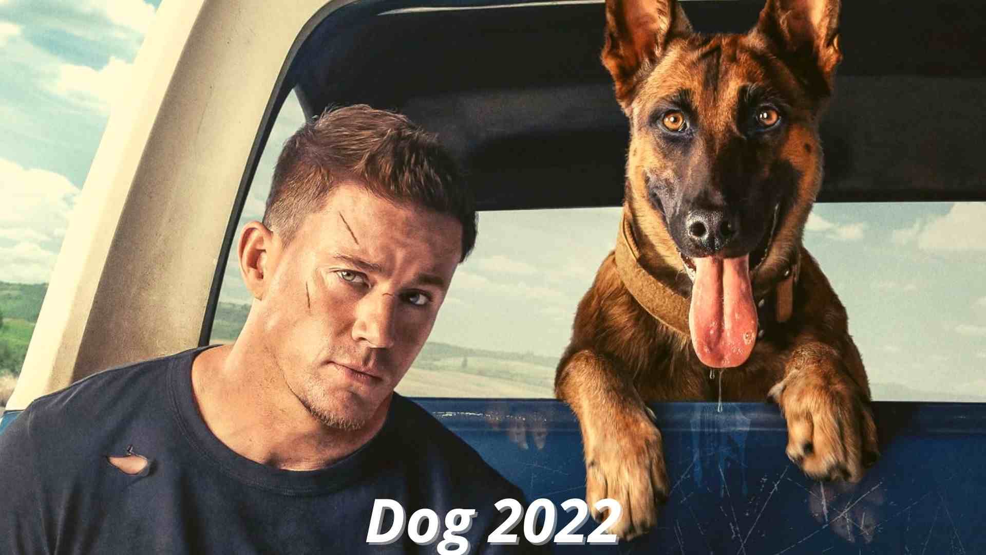 Dog 2022 Release Date, Star Cast, and Plot