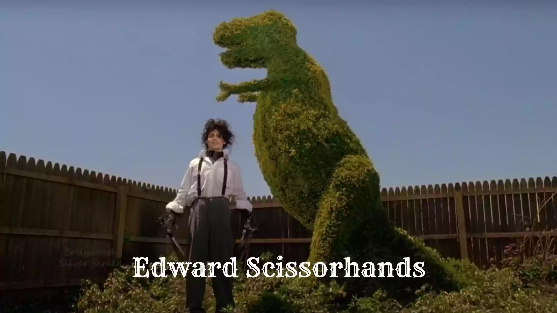 Edward Scissorhands Parents guide And Age rating