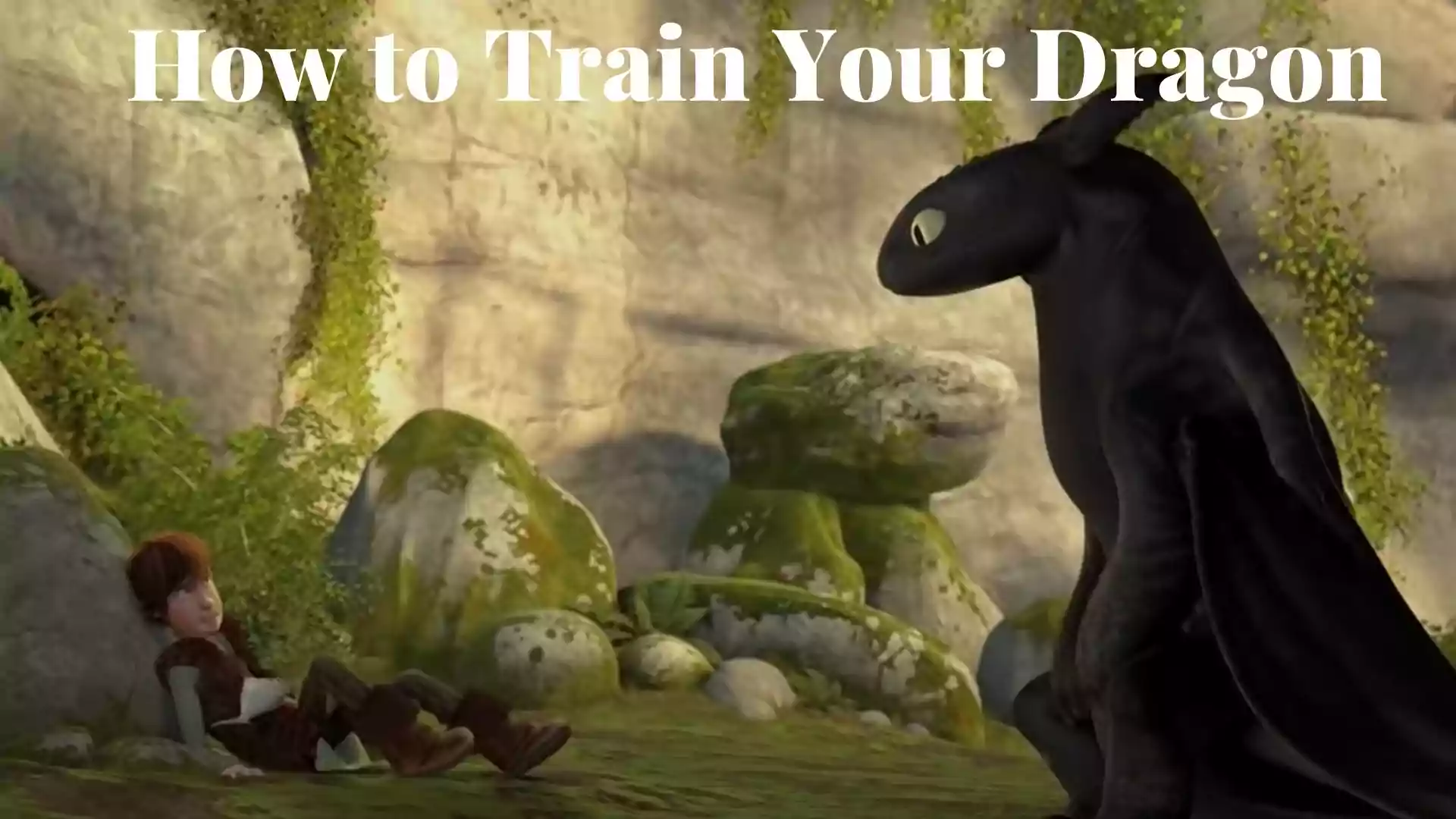 How to Train Your Dragon Wallpaper and Image