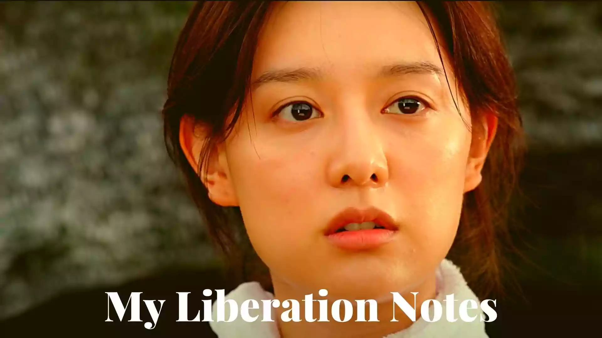 My Liberation Notes Wallpaper and Image