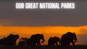 Our Great National Parks Narrated by former President Barack Obama