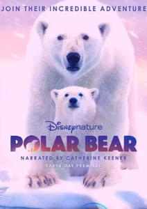 Polar Bear Wallpaper and Image