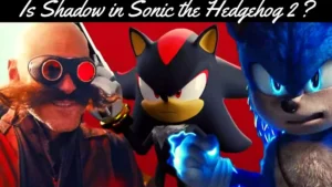 Sonic the Hedgehog 2 Shadow | Shadow the Hedgehog