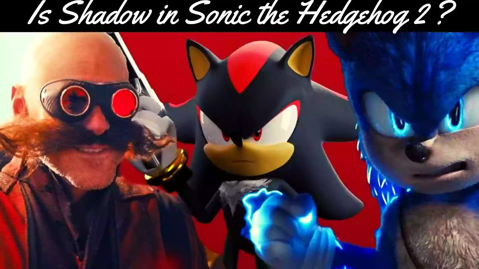 Sonic the Hedgehog 2 Shadow | Shadow the Hedgehog
