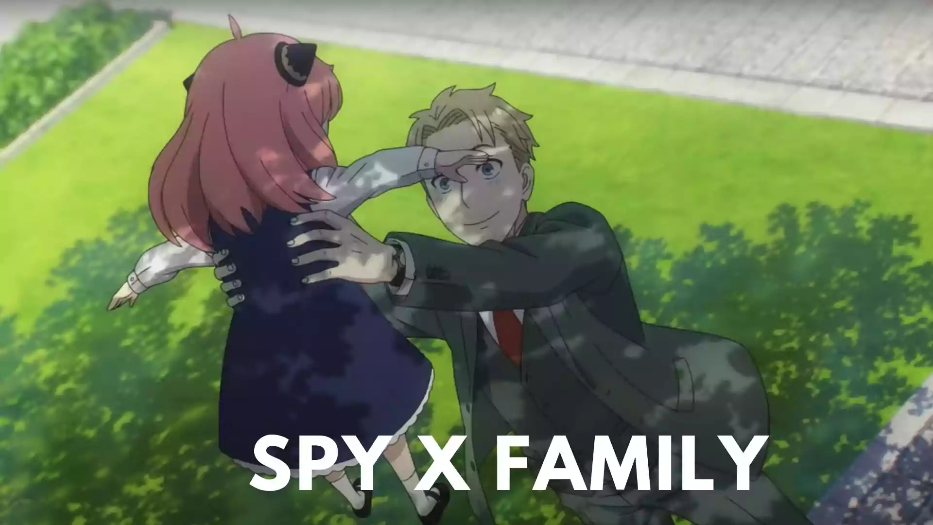 Spy x Family Wallpaper and Image
