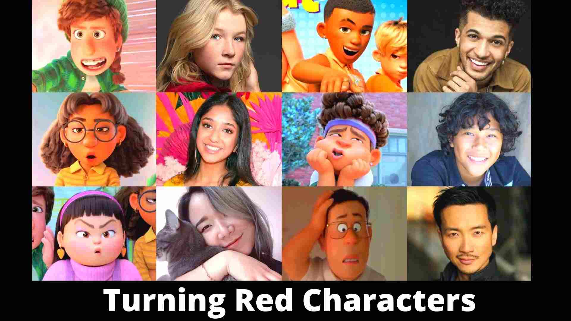 What Turning Red Character are you? Wallpaper and images