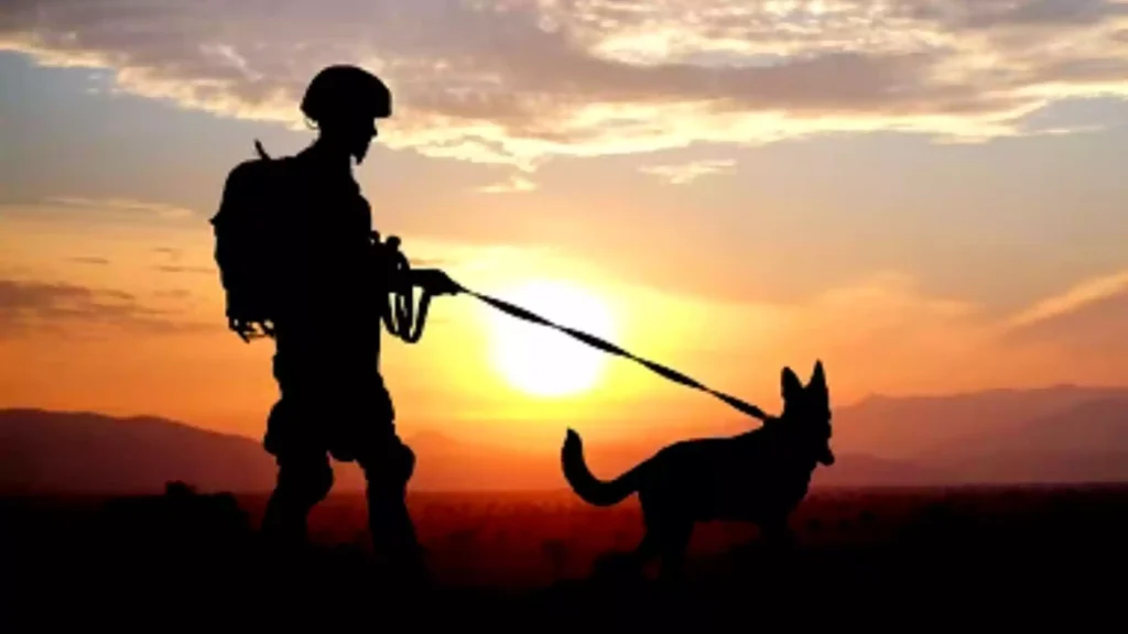 Happy K9 Veterans Day