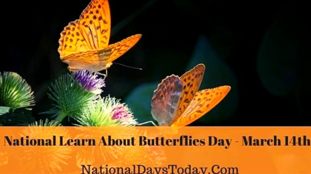Happy Learn About Butterflies Day images