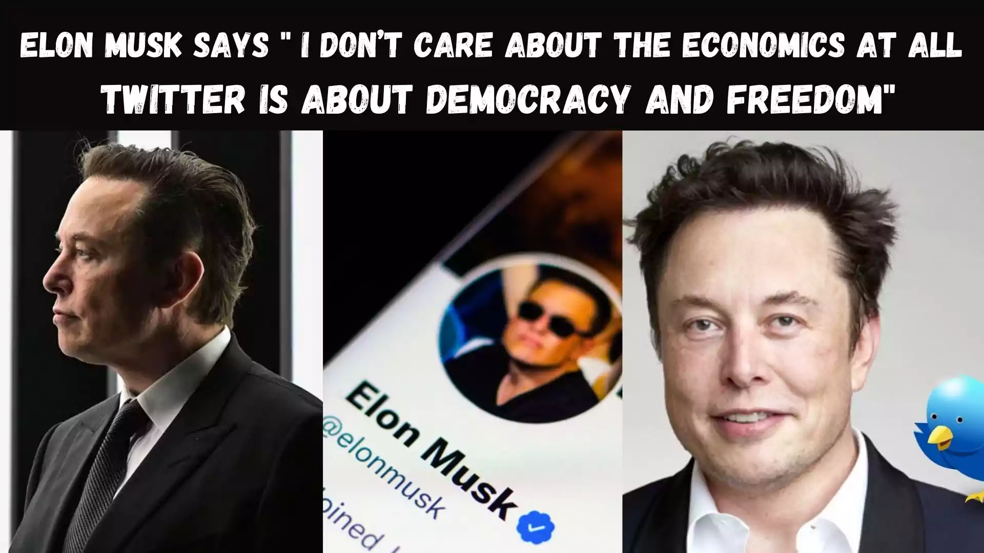 Elon Musk says " I don’t care about the economics at all Twitter is about democracy and freedom" wallpaper and images