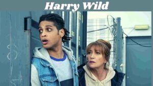 Harry Wild (TV Series) 2 Harry Wild compressed