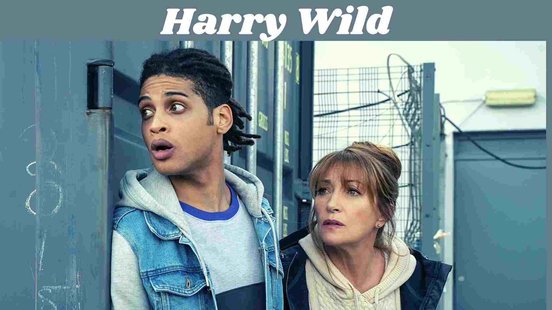 Harry Wild Parents guide and Age Rating | 2022