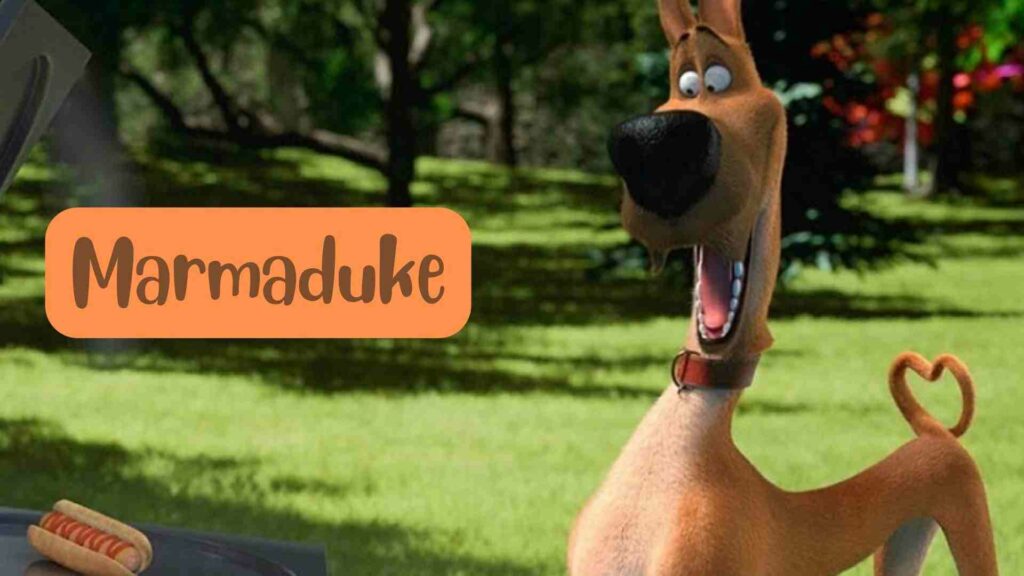 Marmaduke Parents Guide and Age Rating | 2022