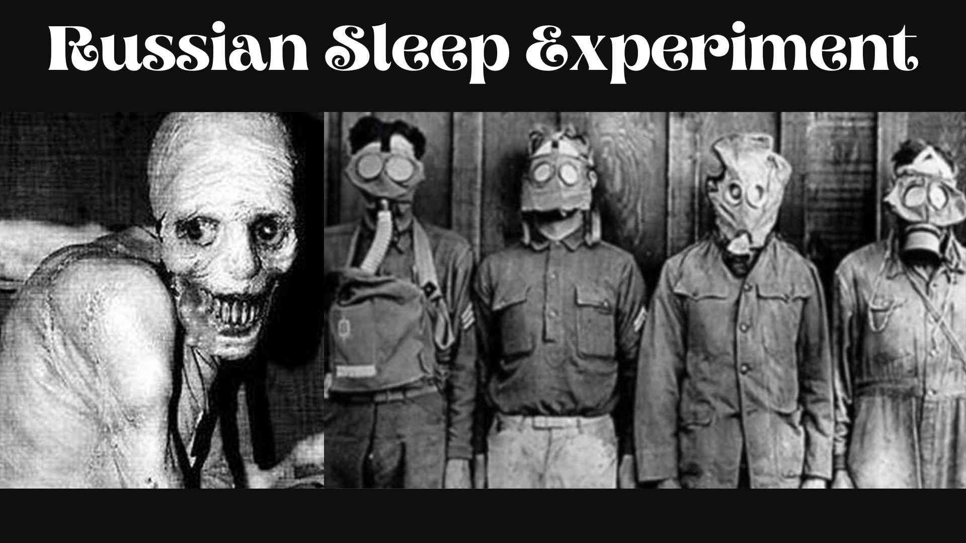 Russian Sleep Experiment Film wallpaper and images