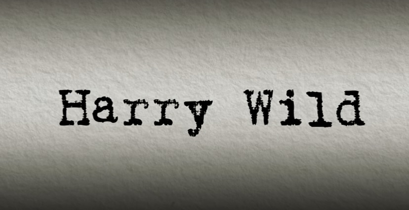 Harry Wild Parents guide and Age Rating | 2022