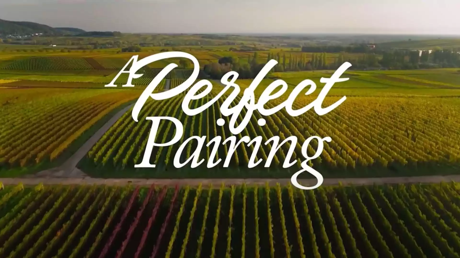 A Perfect Pairing Parents Guide | A Perfect Pairing Age Rating