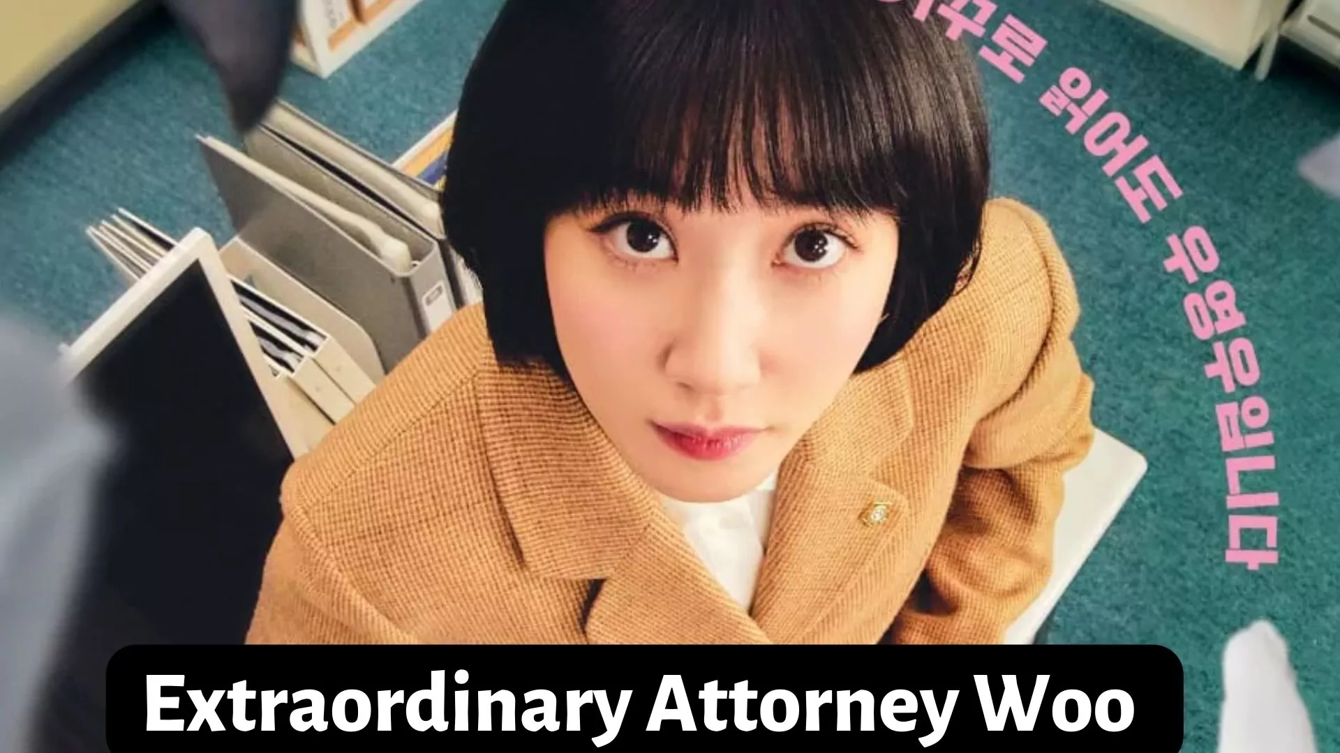 Extraordinary Attorney Woo Parents Guide and Age Rating | 2022