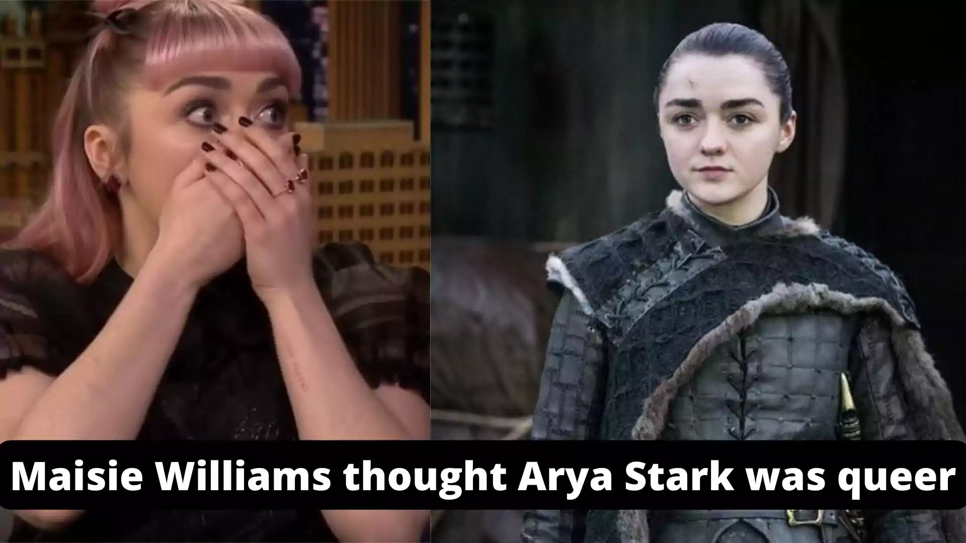Until final season Game of Thrones star Maisie Williams thought Arya Stark was queer