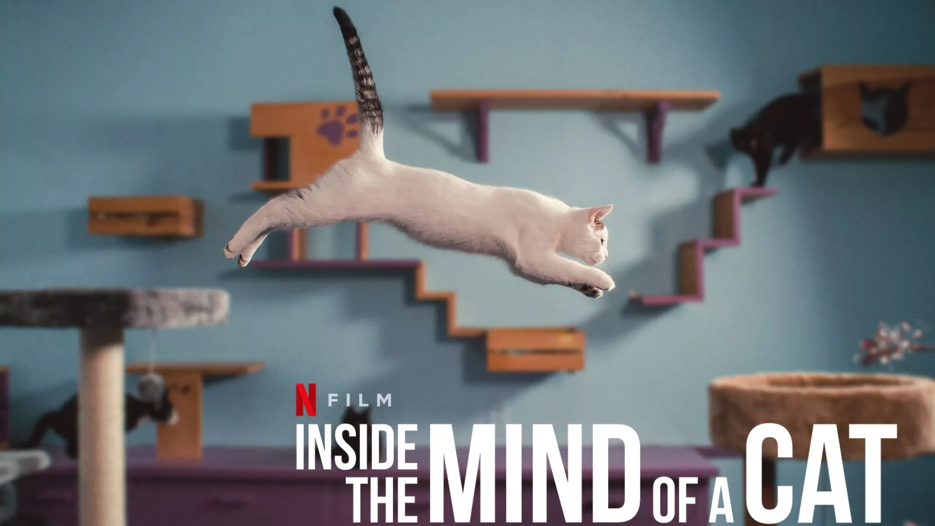 Inside the Mind of a Cat Parents Guide | Age Rating (2022)