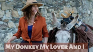 My Donkey My Lover And I Wallpaper And images2022 1