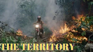 THE TERRITORY Wallpaper and images