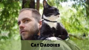 Cat Daddies Wallpaper and Images 2022